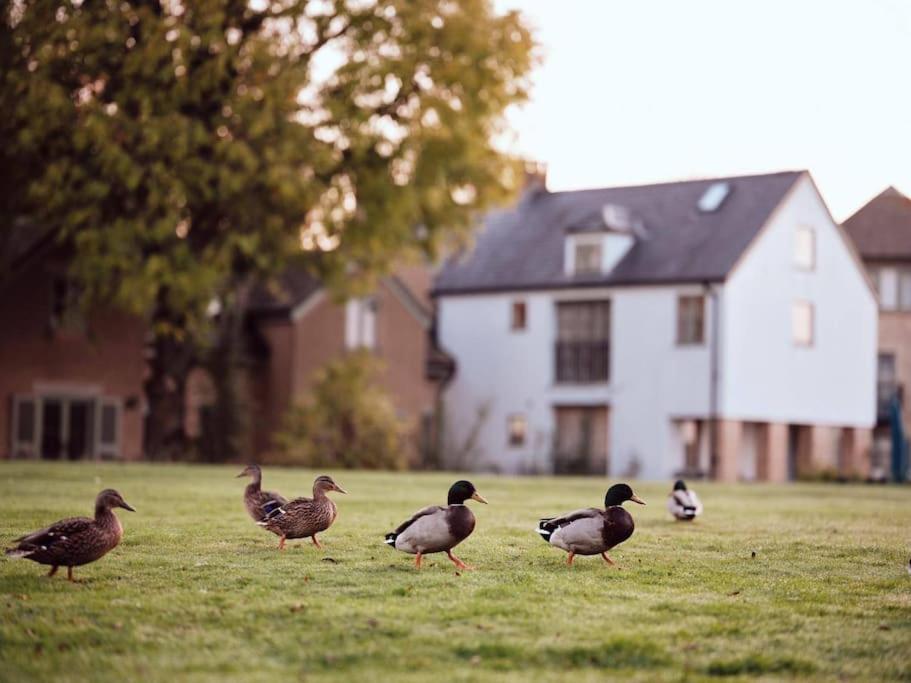 Castleford Cottage , Lowermill Estate Somerford Keynes Exteriér fotografie